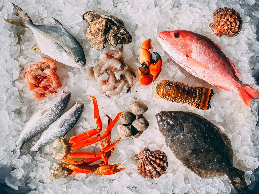 Seafood on ice ready for inspection