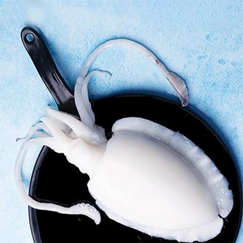 Cleaned cuttlefish processed for export
