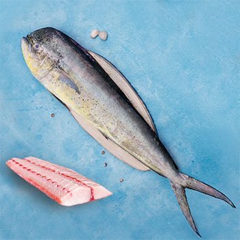 Mahi Mahi
