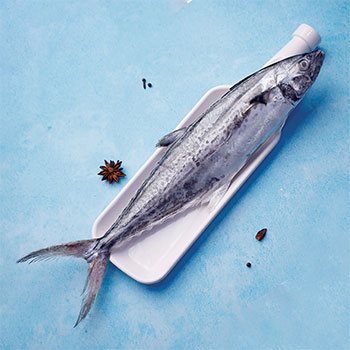 Seer Fish (King Fish)