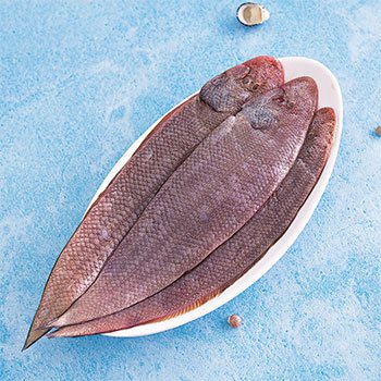 Sole Fish